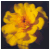 sogentlywego :iconsogentlywego: