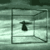 Solemn-Hypnotic :iconsolemn-hypnotic: