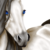 SoloMar-12 :iconsolomar-12: