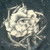 Solyarise :iconsolyarise: