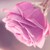 somayanasser :iconsomayanasser: