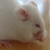 somerandompersonkt :iconsomerandompersonkt: