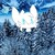SomeSnowflakeFurry :iconsomesnowflakefurry:
