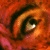 DeviantArt profile picture for @somewhat on DeviantArt
