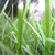SonaPhotography :iconsonaphotography: