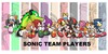 :iconsonic-team-players: