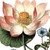 Sorakiss :iconsorakiss: