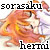 :iconsorasaku-hermi: