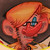 sosnw :iconsosnw: