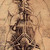 Soul-Anatomy :iconsoul-anatomy:
