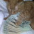 souldestroyer :iconsouldestroyer: