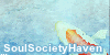 SoulSocietyHaven's avatar