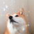 SpaciiReii :iconspaciireii: