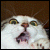 DeviantArt profile picture for @sparc on DeviantArt