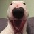 SparklingButterfly9 :iconsparklingbutterfly9: