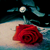 spikesbint :iconspikesbint: