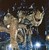 :iconspinoderaptor21: