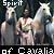 :iconspirit-of-cavalia:
