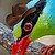 :iconspottedpool90: