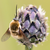 :iconspotting-nature: