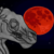 Spottyleopar :iconspottyleopar: