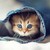 sprinklepower :iconsprinklepower: