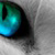 squee6666 :iconsquee6666: