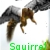 :iconsquirrelfl1ght4evr: