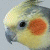 ssiegler :iconssiegler: