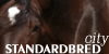 Standardbred-City's avatar
