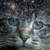 StarClanPhotoGirl :iconstarclanphotogirl: