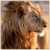 Starredskies :iconstarredskies: