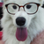 steampunkwolf78 :iconsteampunkwolf78: