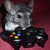 steelemerald :iconsteelemerald: