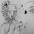 SteephOu :iconsteephou: