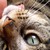 Steleamaria :iconsteleamaria: