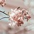 StephanieTadaomi :iconstephanietadaomi: