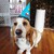 stevie178 :iconstevie178: