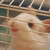 stk2111 :iconstk2111: