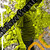 DeviantArt profile picture for @Stly on DeviantArt