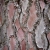 stock-gadfly :iconstock-gadfly: