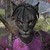 :iconstorm-blix: