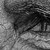 Strikie :iconstrikie: