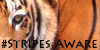 StripesAware's avatar