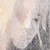 StubbornRootDaughter :iconstubbornrootdaughter: