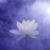 sukinova777 :iconsukinova777: