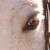 SummerStardance :iconsummerstardance: