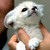sunburntheteleporter :iconsunburntheteleporter: