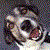sundaeasterisk :iconsundaeasterisk: