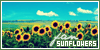 Sunflower-Lovers's avatar